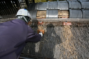 本郷ふじやま公園5