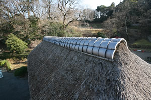 本郷ふじやま公園9